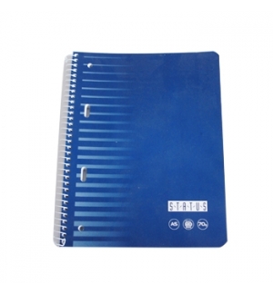 Caderno Espiral A5 Quadriculado EnriStatus 80Fls 1un