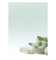 Papel Temático Flor Branca A4 90g 20 Folhas