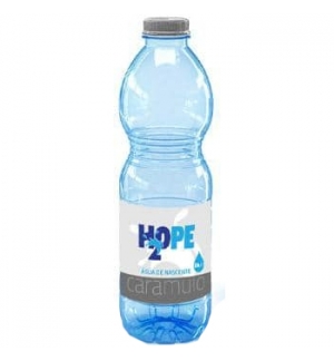 Água de Nascente H2OPE 0,5L Pack 24un