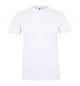 T-Shirt Adulto Algodão 155g Branco Tamanho XXL