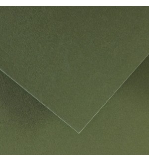 Cartolina 50x65cm Verde Safari 185g 1 Folha Canson