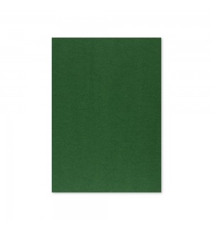 Cartolina A4 Verde Escuro 3C 250g 125 Folhas