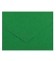 Cartolina 50x65cm Verde Abeto 185g 1 Folha Canson