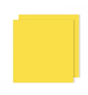 Cartolina A4 Amarelo Canário 185g 50 Folhas
