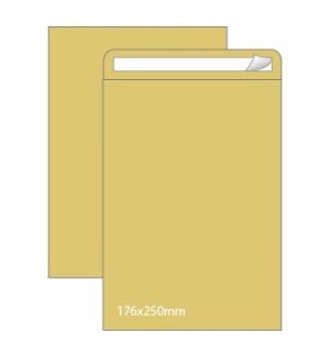 Envelopes Saco 176x250mm Kraft 90gr Autodex Cx250un (B5)