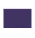 Toalhas Mesa TNT 30x40cm 55g Azul 250un