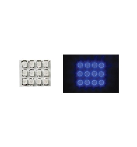 Dome Light com LEDs Azuis 12V 17x20mm