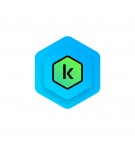 Kaspersky Standard ESD 10 Dispositivos 1 ano