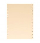 Separadores A4 Cartolina 12 (Jan a Dez)