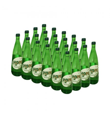 Água com Gás H2OPE 0,25L Pack 24un