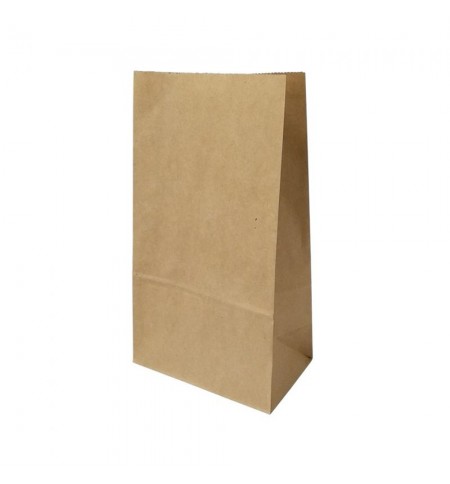 Saco sem Asas 15x09x26,5cm Papel Kraft 080g 1un