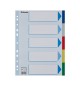 Separadores A4 Polipropileno Cores Sortidas 5 Pestanas