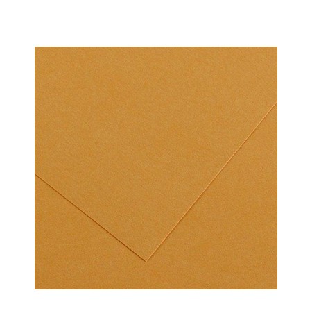 Cartolina 50x65cm Couro 185g 1 Folha Canson