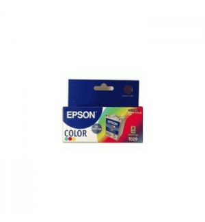 Tinteiro Epson T029 Cor C13T02940120 37,2ml