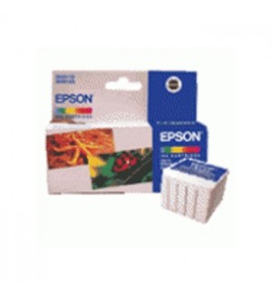 Tinteiro Epson T0530 Cor C13T05304020