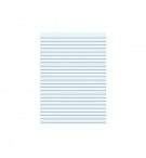 Caderno Papel Almaço A4 Pautado Azul s/Margem 5Fls