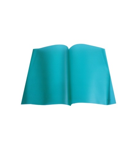 Classificador Capa Transparente Verde Durable 2919 1un