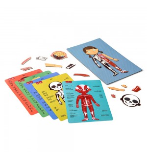 Jogo Educativo Magnético Apli Corpo Humano 63 Peças
