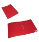 Pasta Cartão Hidráulico A4 com Ferragem Vermelho
