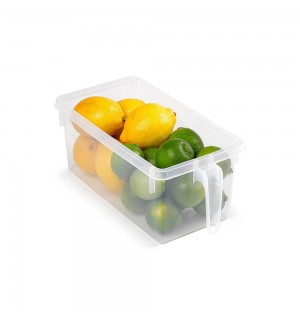 Caixa Organizadora Frigorífico Handy Transparente