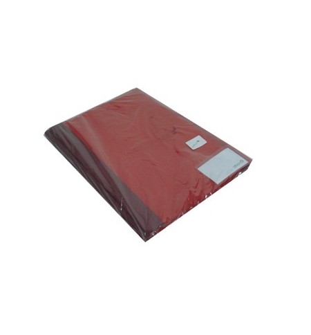 Classificador Capa Transparente Vermelho 10un