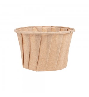 Molheira 100ml Papel Kraft 250un