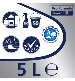 Detergente Desengordurante Cif PF Forte 5L