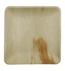 Pratos 20x20cm Folha de Palma Quadrados 25un