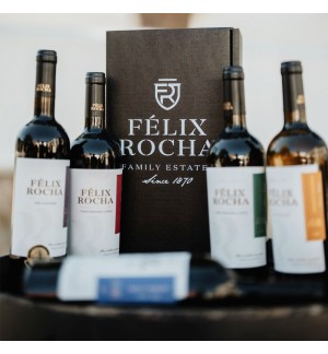 Vinho Tinto Félix Rocha Premium DOC 2011 750ml Medalha Ouro