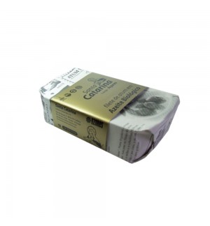 Filete Atum Santa Catarina Azeite Bio 120g