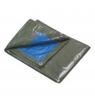 Lona Multiusos 5x6m Azul Royal e Verde