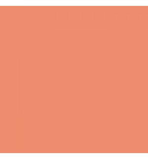 Cartolina 50x65cm 240g Coral CANSON 25 Folhas