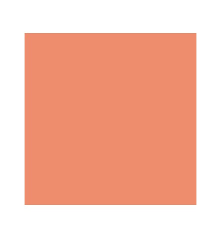 Cartolina 50x65cm 240g Coral CANSON 25 Folhas