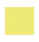 Cartolina 50x65cm 240g Kiwi CANSON 25 Folhas