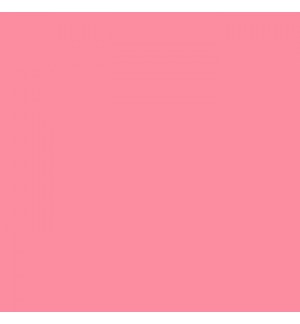 Cartolina 50x65cm 240g Rosa Chicla CANSON 25 Folhas