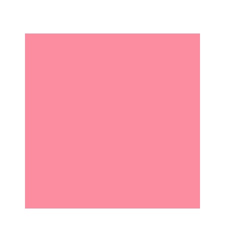 Cartolina 50x65cm 240g Rosa Chicla CANSON 25 Folhas