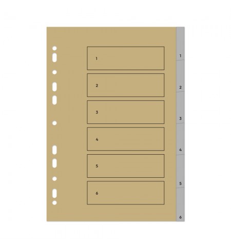 Separadores A4 Plástico Numerados (1 a 6) Roma 266 1un