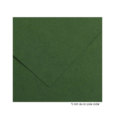 Cartolina 50x65cm Verde Abeto 185g 1 Folha Canson