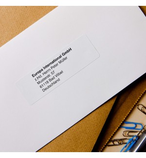 Etiquetas Pré-Cortadas Papel Térmico 29x90mm 400un