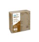 Guardanapos 40x40 2Fls Reciclados Nature P&P 100un