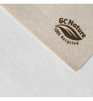 Guardanapos 40x40 2Fls Reciclados Nature P&P 100un