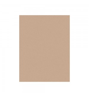 Papel Anti-Gordura 34g 28x34cm Natural 1000un