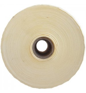 Etiquetas 102x152 D25mm Térmicas Rolo 500un