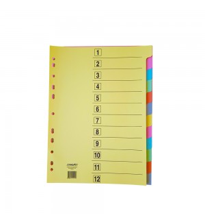 Separadores A4 Cartolina (202) 12un