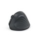 Rato Wireless Ergonómico EWM-500R Preto