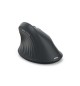Rato Wireless Ergonómico EWM-500R Preto