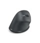 Rato Wireless Ergonómico EWM-500R Preto