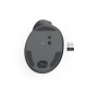 Rato Wireless Ergonómico EWM-500R Preto