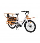 Bicicleta de Carga Elétrica YOUIN Berlin