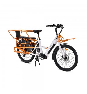 Bicicleta de Carga Elétrica YOUIN Berlin